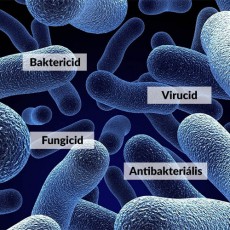 Antibakteriális, fungicid, virucid szerek– mik ezek és melyik mire jó?