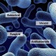 Antibakteriális, fungicid, virucid szerek– mik ezek és melyik mire jó? Antibakteriális, fungicid, virucid szerek– mik ezek és melyik mire jó?